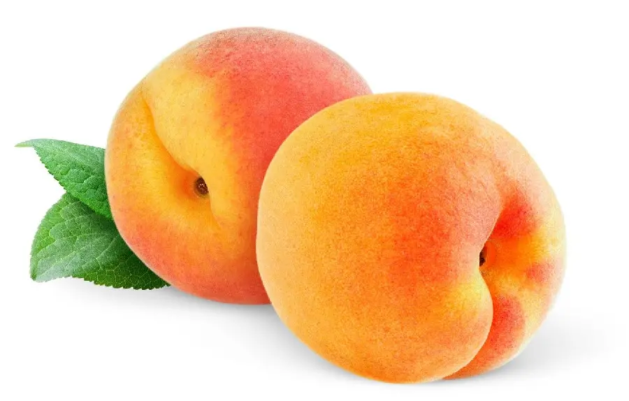 Tempting view of yellow and orange peaches, the famous summer fruit