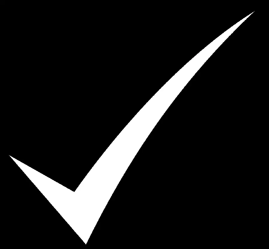 A telephoto 2023 tick logo in the popular pastel green color