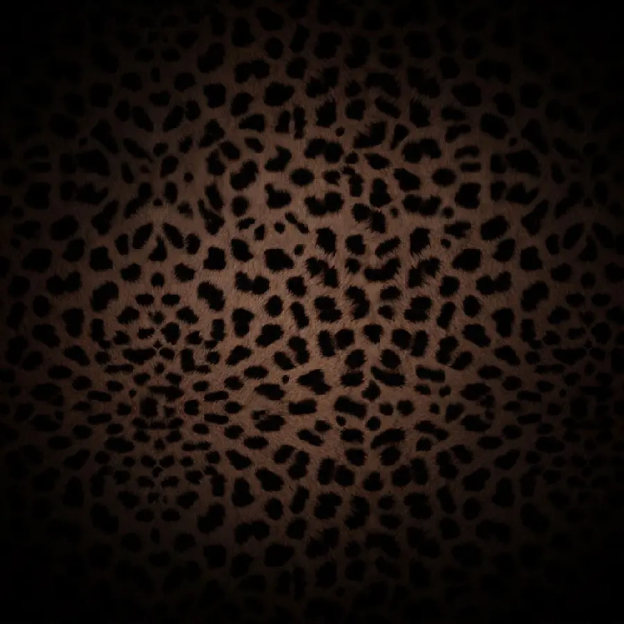 Download an extraordinary leopard image in full HD quality