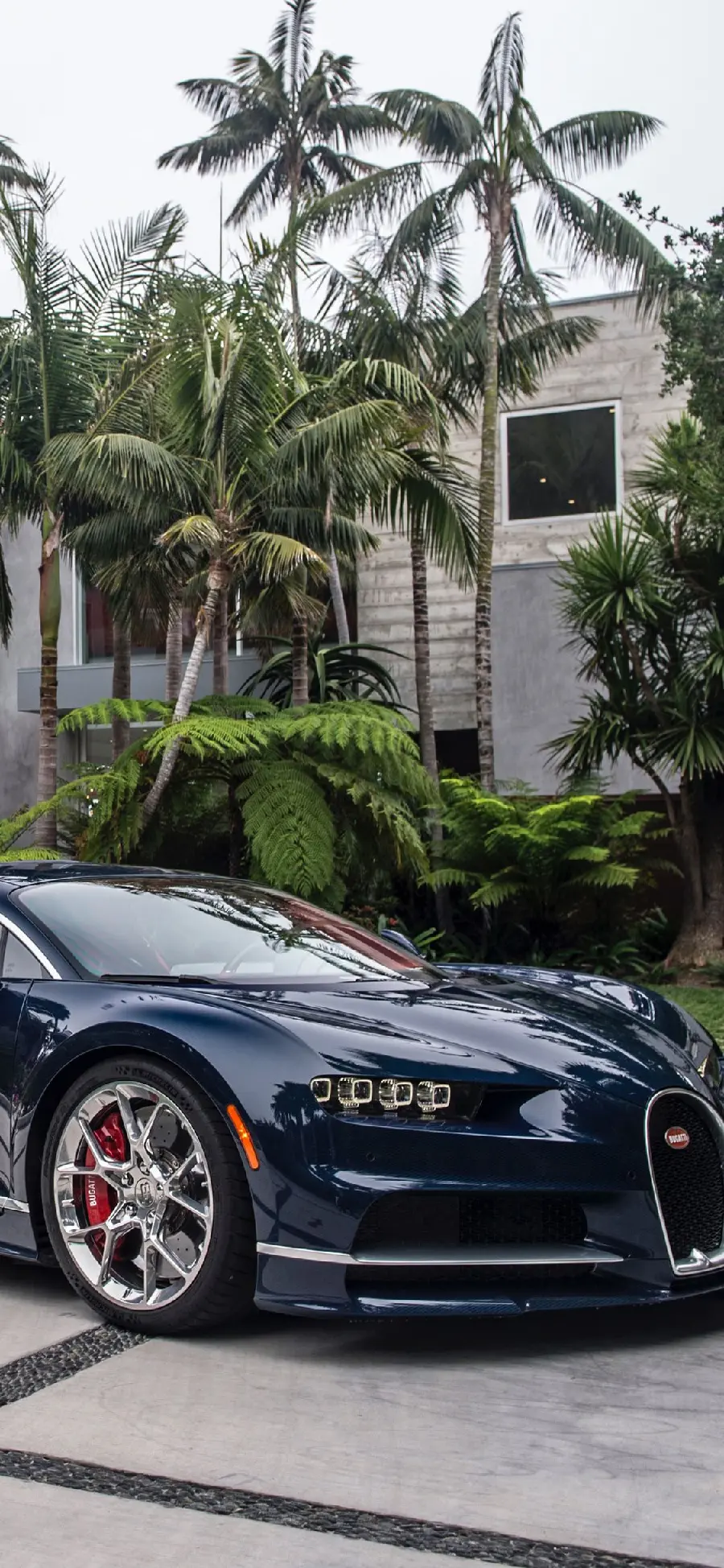 Glossy black Bugatti car background for Telegram chat page