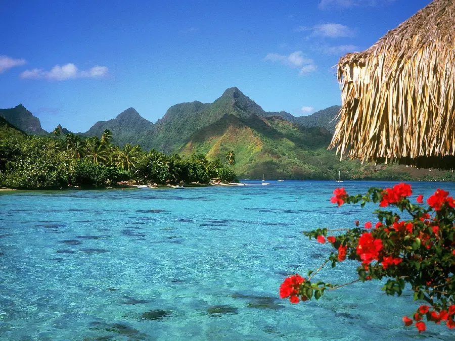 Beautiful girl and boy profile picture of the summer season with a view of a blue lake