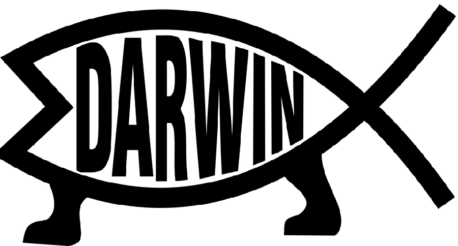 Free PNG cut out PNG image of the name Charles Darwin 
