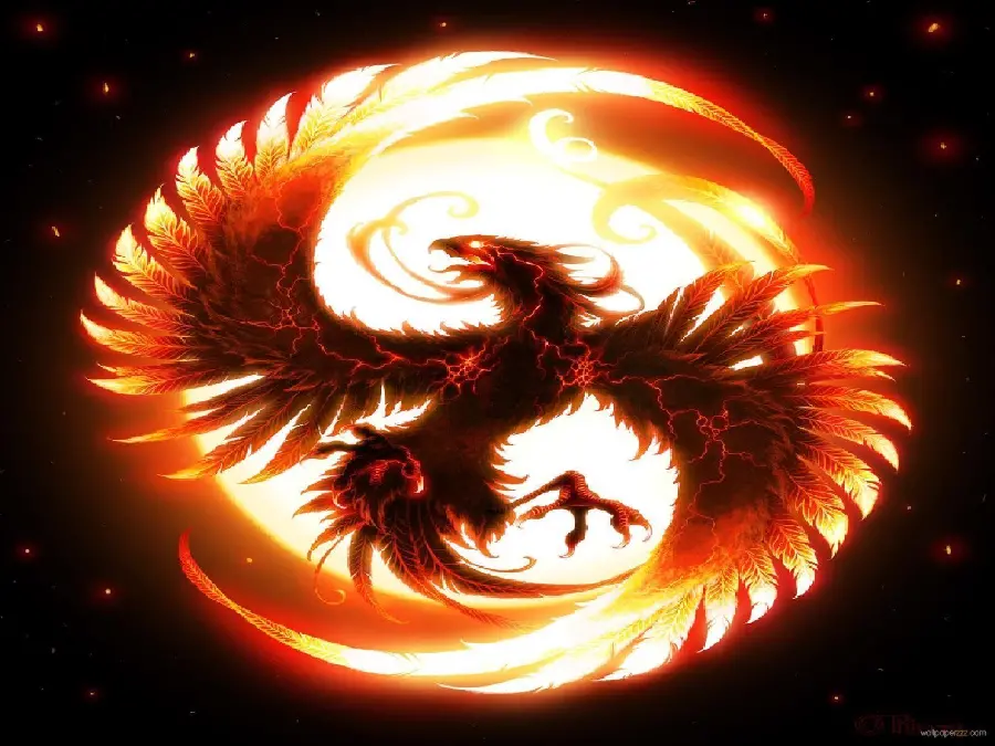 The most different and attractive winged volcano dragon stock photo 