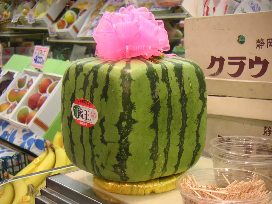 Unique and special stock photo of square watermelon 