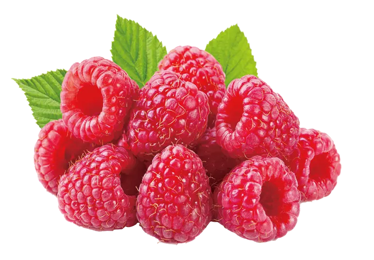 The most beautiful red raspberry cropped image without a background