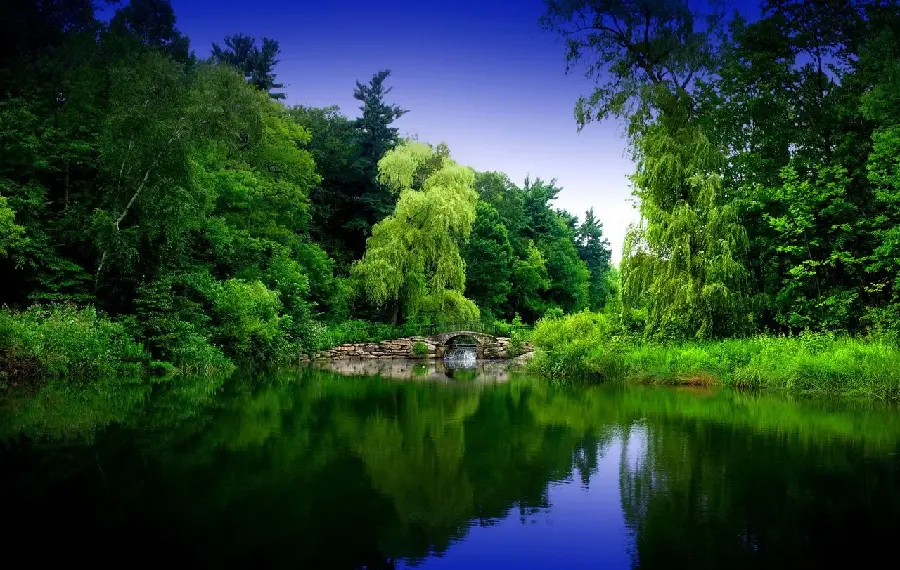 Interesting Picture of Japanese Zen Nature with Relaxing View 