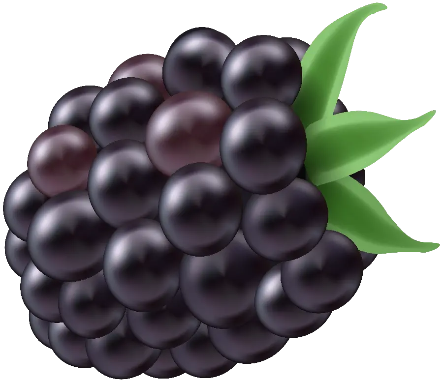 Download PNG photo of single black raspberry downloaded for free 