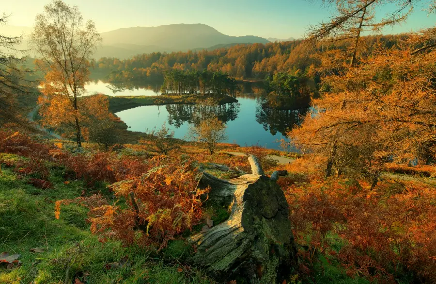 Free download of high-quality autumn nature images for backgrounds