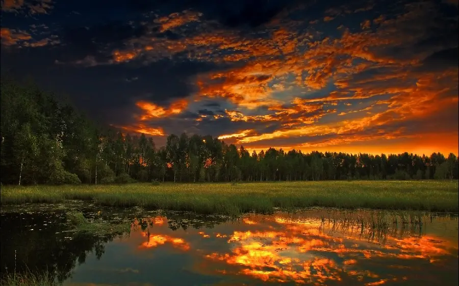 Stock photo of a masterpiece of a summer sunset with a beautiful orange sky reflection in the lake 1402