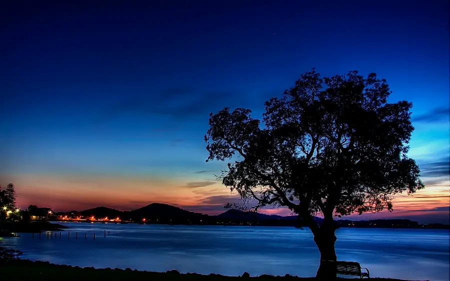 Amazing single tree and water wallpaper for profile 