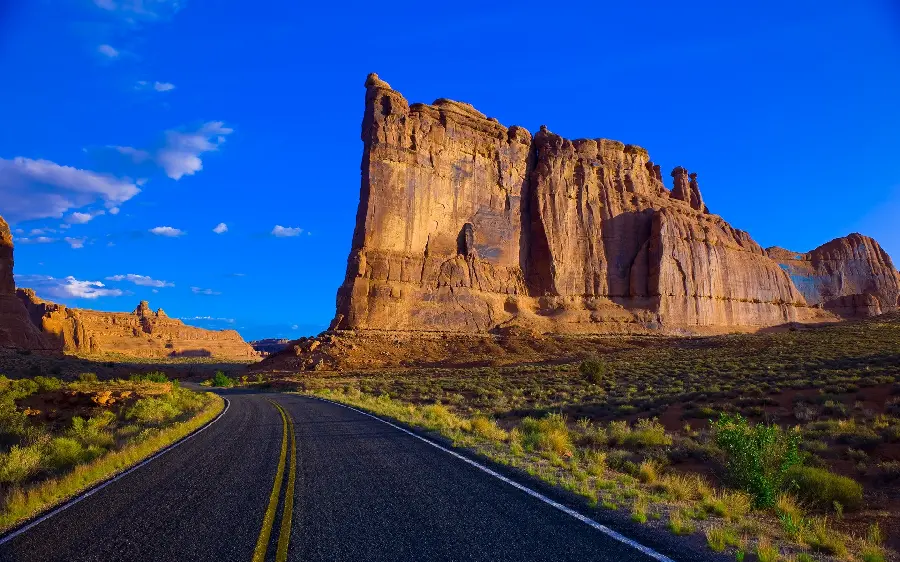Amazing and spectacular background of a long and beautiful road 
