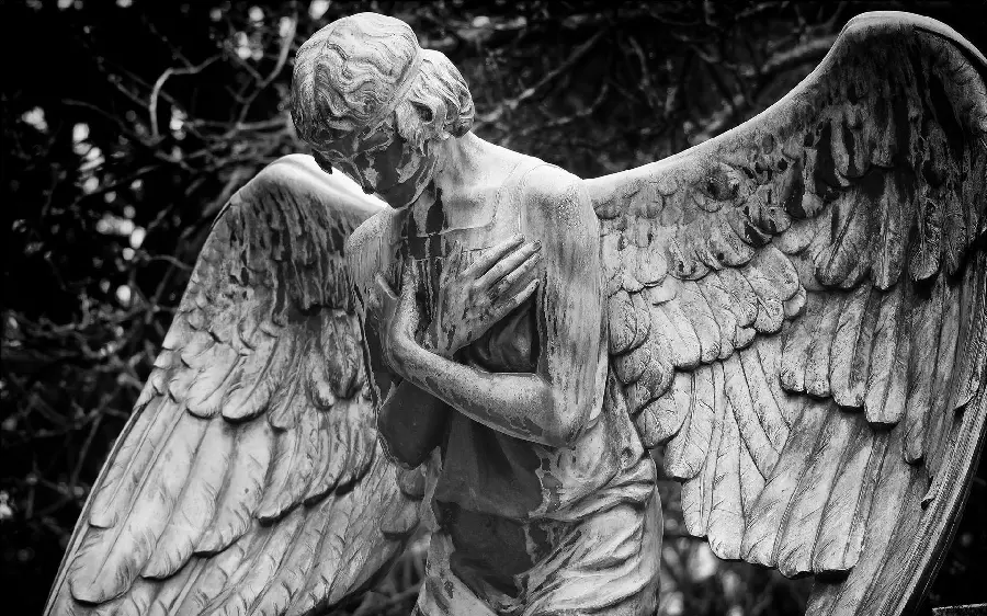 Download black and white stock photo of a kind angel statue