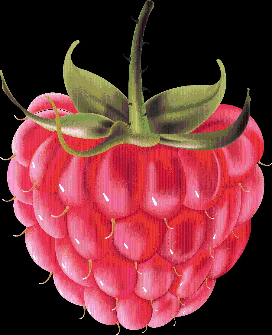 Simple PNG Graphic Image Red raspberries with a black background 