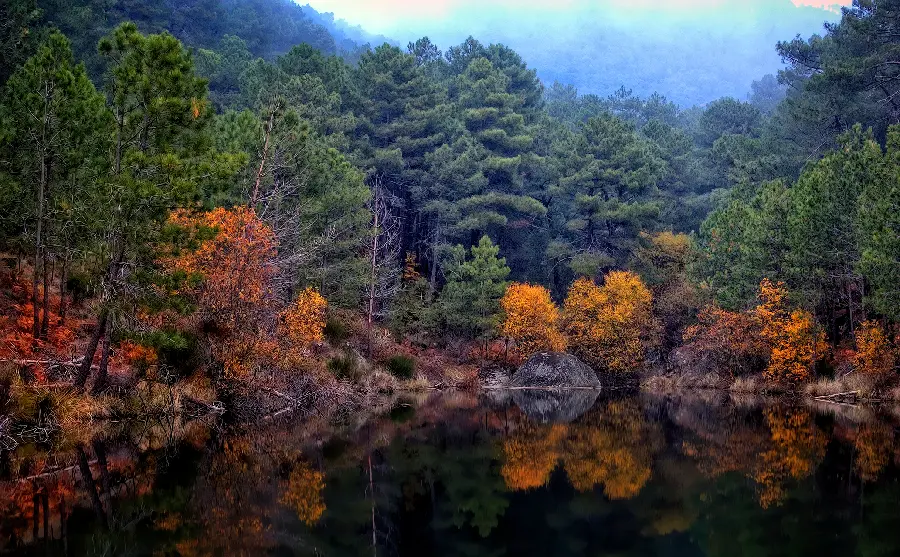 The highest quality special profile picture of the colorful forest around the lake