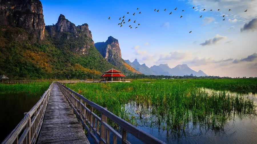 A spectacular scene of Zen nature and Japanese aesthetics