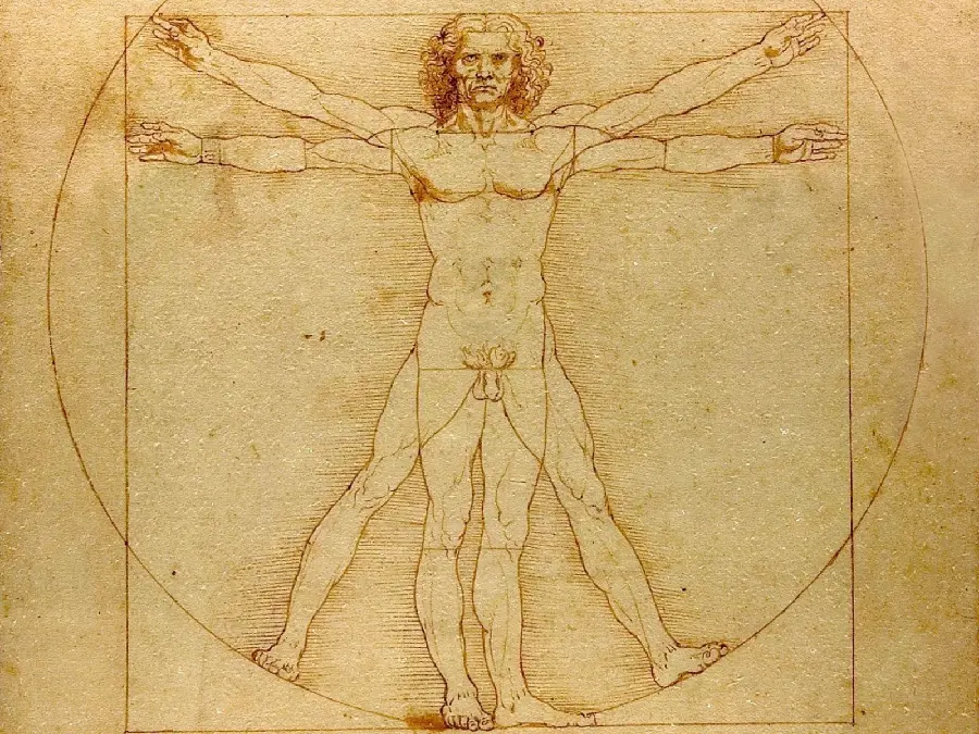 Man Vitruvian Man by Leonardo da Vinci, a work of a man surrounded by a circle and a square