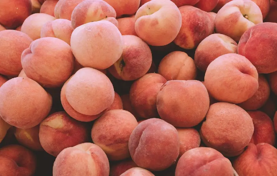 Simple peach photo with a lovely stylish color for desktop background