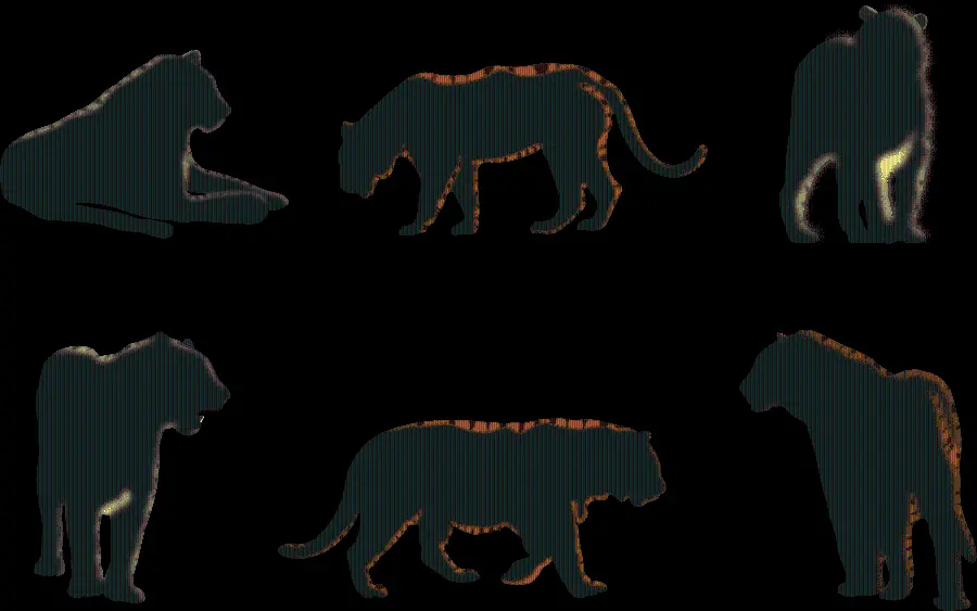 Real Black Tiger Shadow PNG Design and Image for Logo