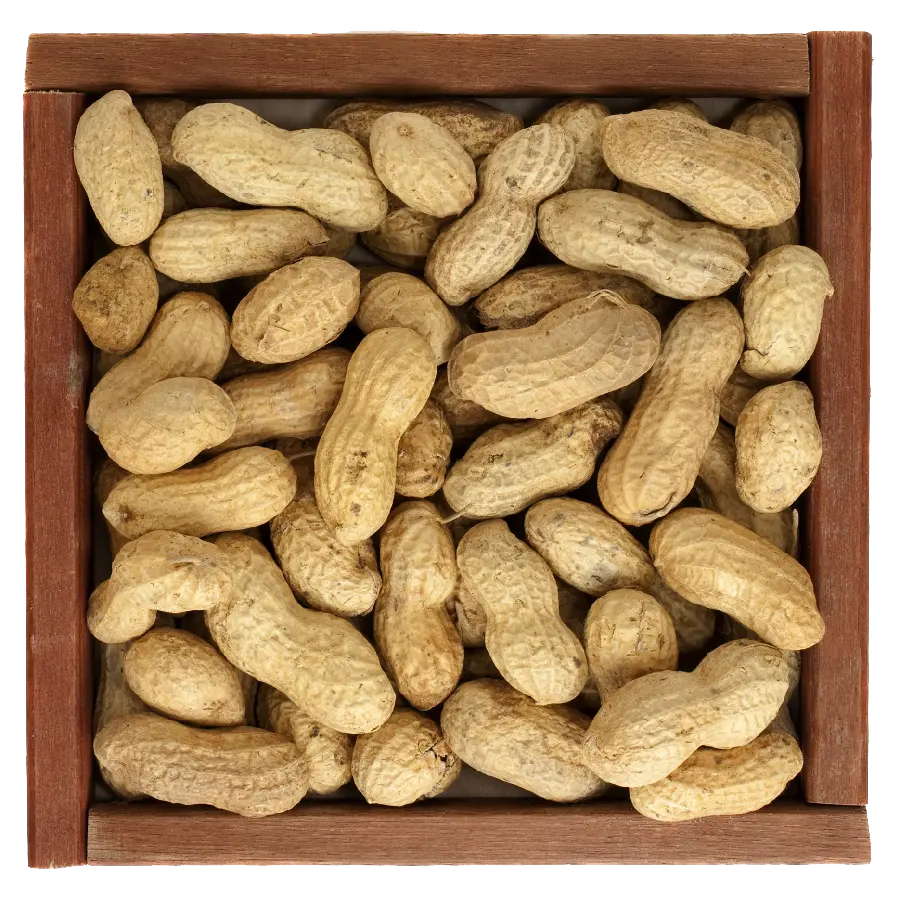Popular 8k image of peanuts in a wooden bowl from above