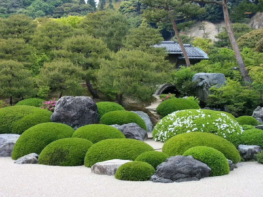 Beautiful Zen Stone Garden Wallpaper with Green Vegetation for Samsung Phone