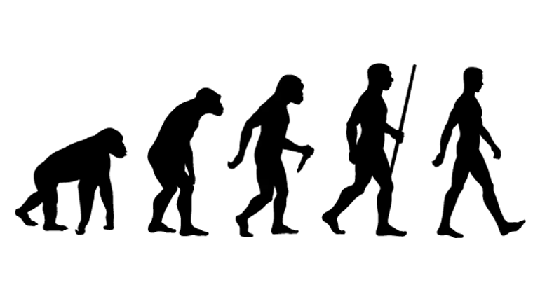 Photo of a cropped graphic PNG image of Darwin's theory of biological evolution
