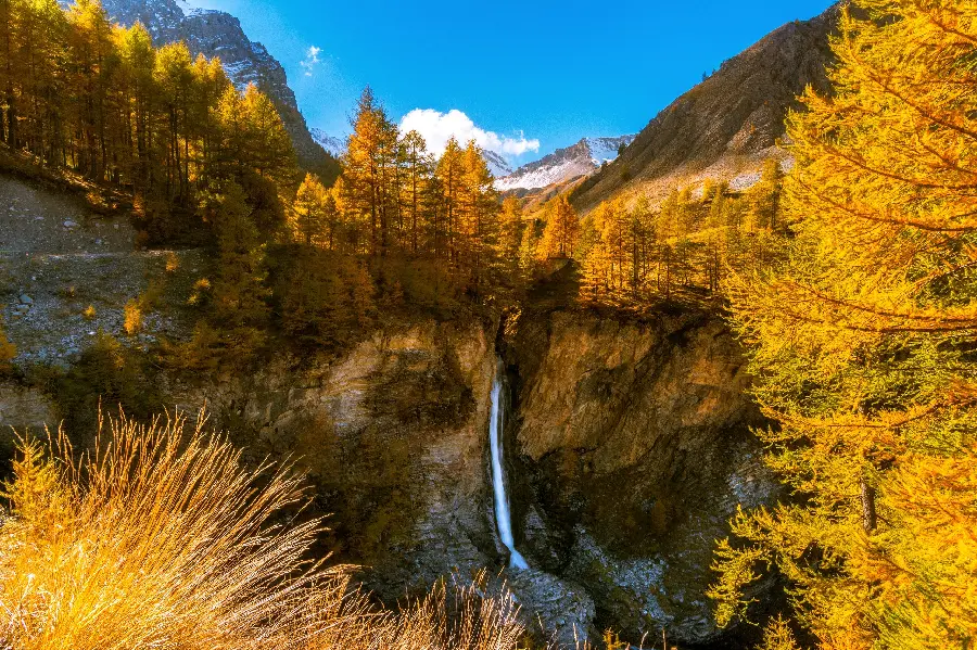 Beautiful image of nature for Windows 10 computer background