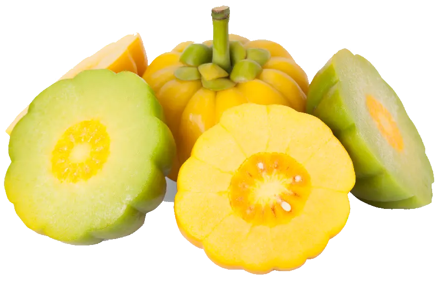 The hottest image of sweet fruit Tergil PNG yellow and green pumpkin 