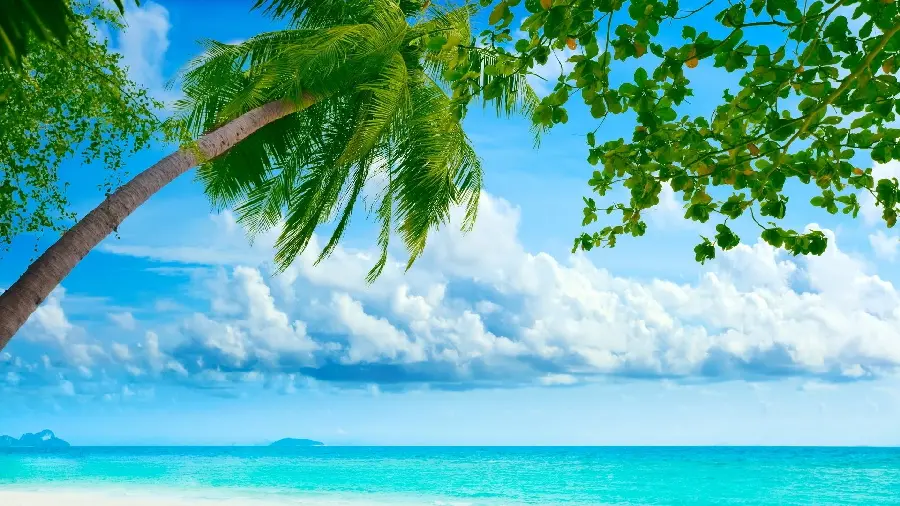 Download a relaxing summer beach background for iPhone and Samsung