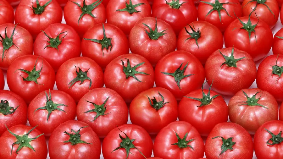 Full screen image of tomato busy design for background 