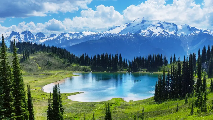 Download a fantastic photo of dreamy nature with excellent quality 
