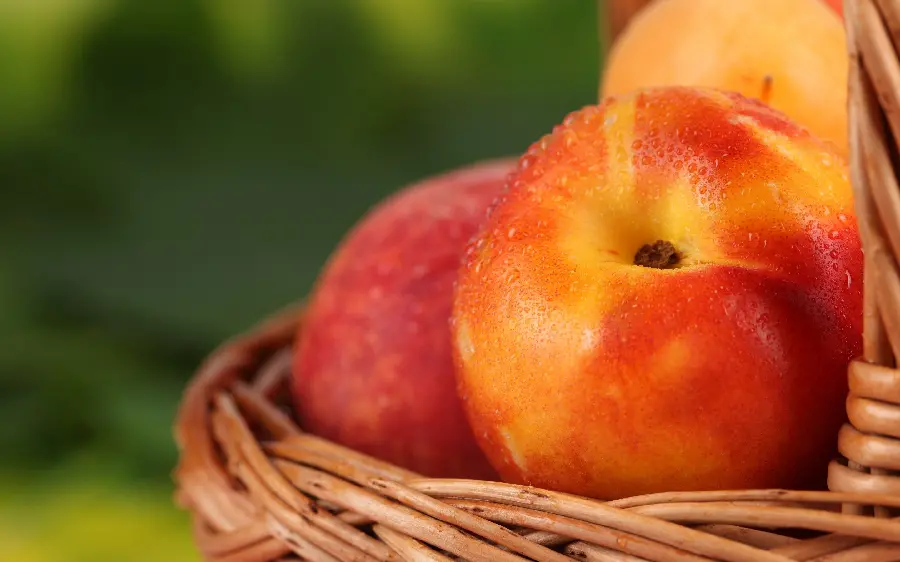 Download peach portrait photo in basket to make beautiful and artistic writing photo