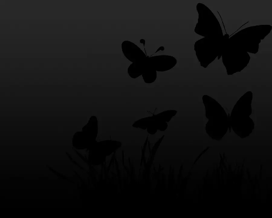 Amazingly beautiful wallpaper of a black butterfly with excellent quality 