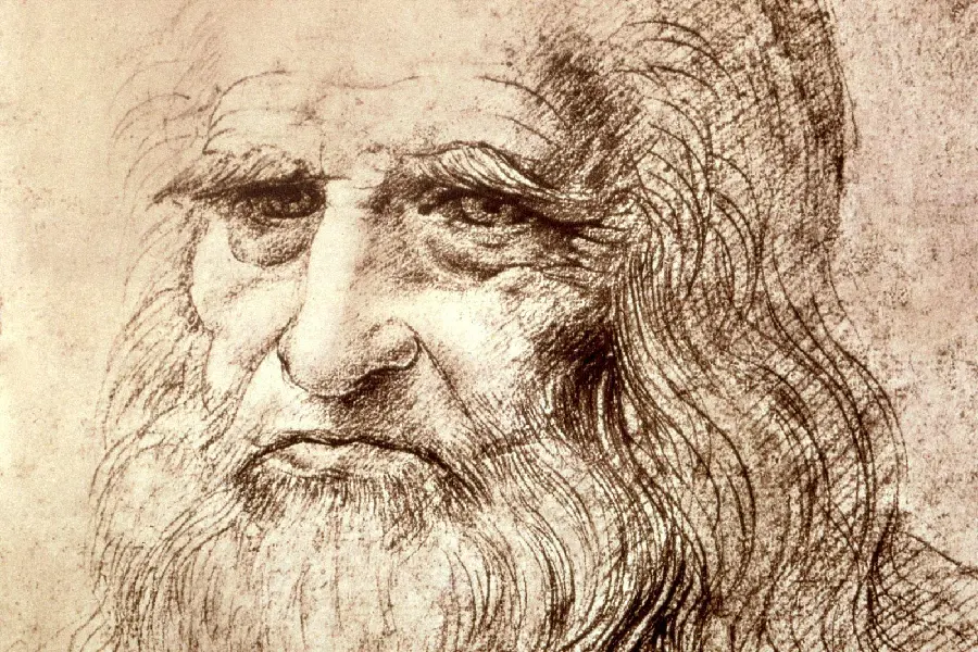 Free and High Quality Image of Leonardo Da Vinci's Famous Self-Portrait