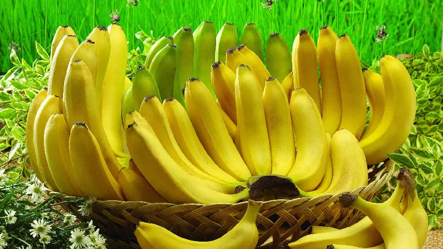 Banana fruit background for 4k Instagram posts and stories 