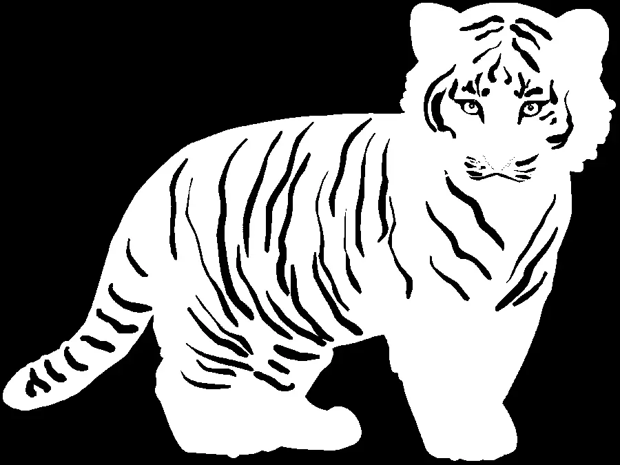 Free black and white PNG tiger image download