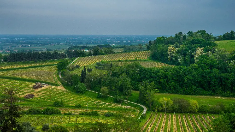 Download incredibly beautiful wallpaper of green and dreamy nature 