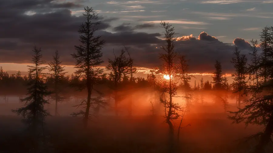 Download beautiful nature background at sunset 