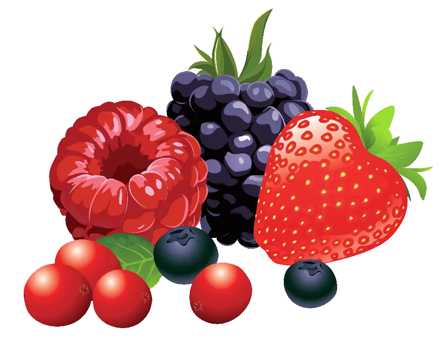 Image of delicious red and black raspberries with the highest quality 