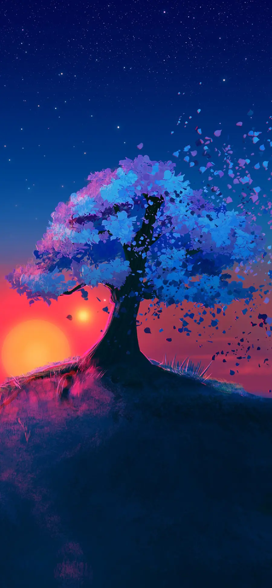  Amazing and very beautiful background of a single and beautiful tree with a spectacular sunset 