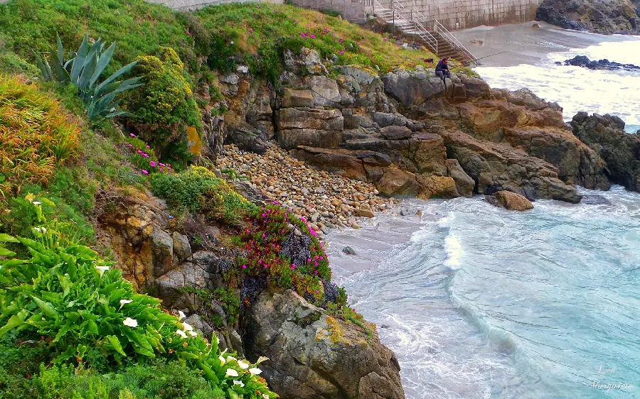 Profile image of lush and cool rocks by the sea for the classy