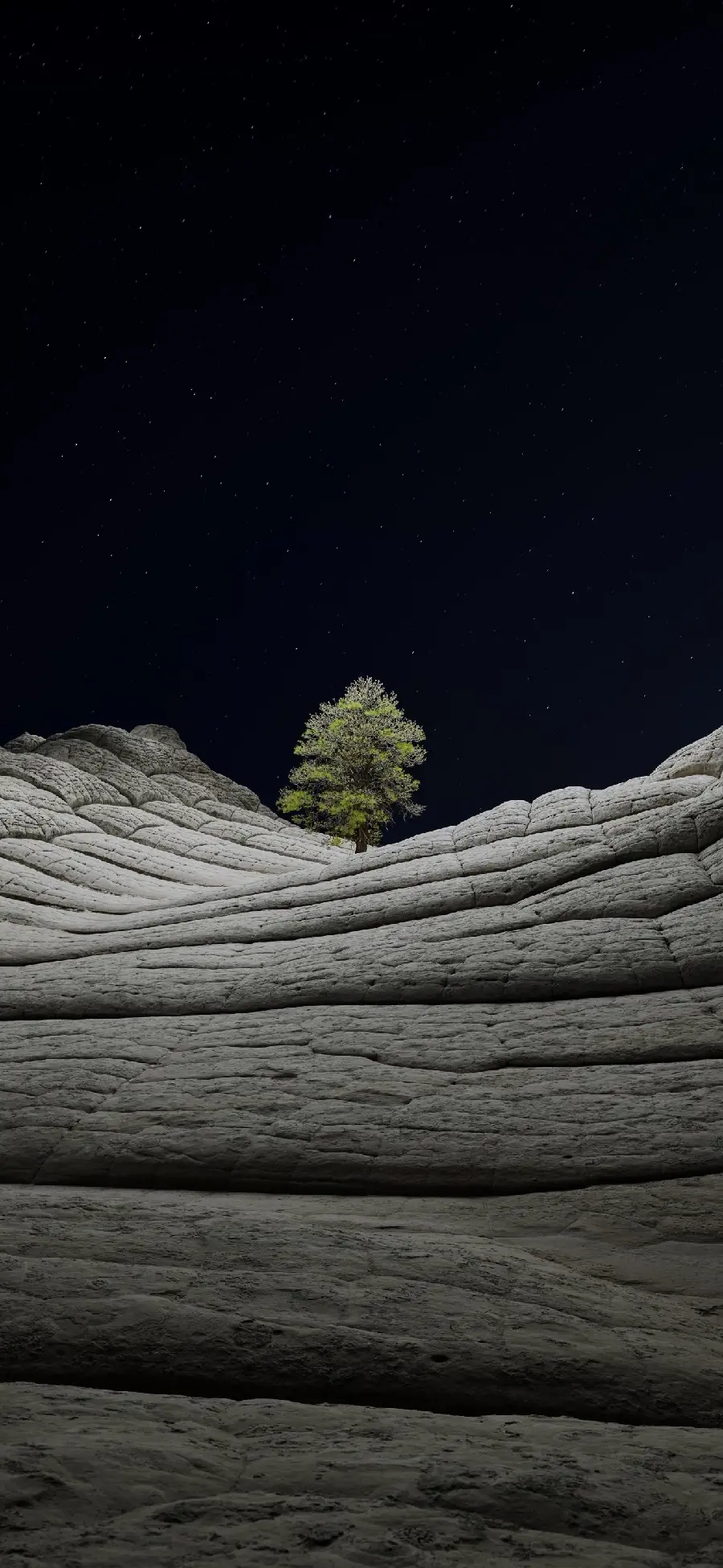  Beautiful background of a single tree on large stones for mobile backgrounds 