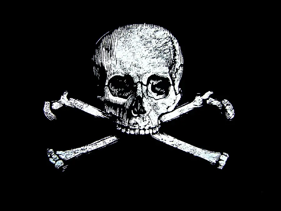 Best black and white pirate wallpaper for laptops and computers