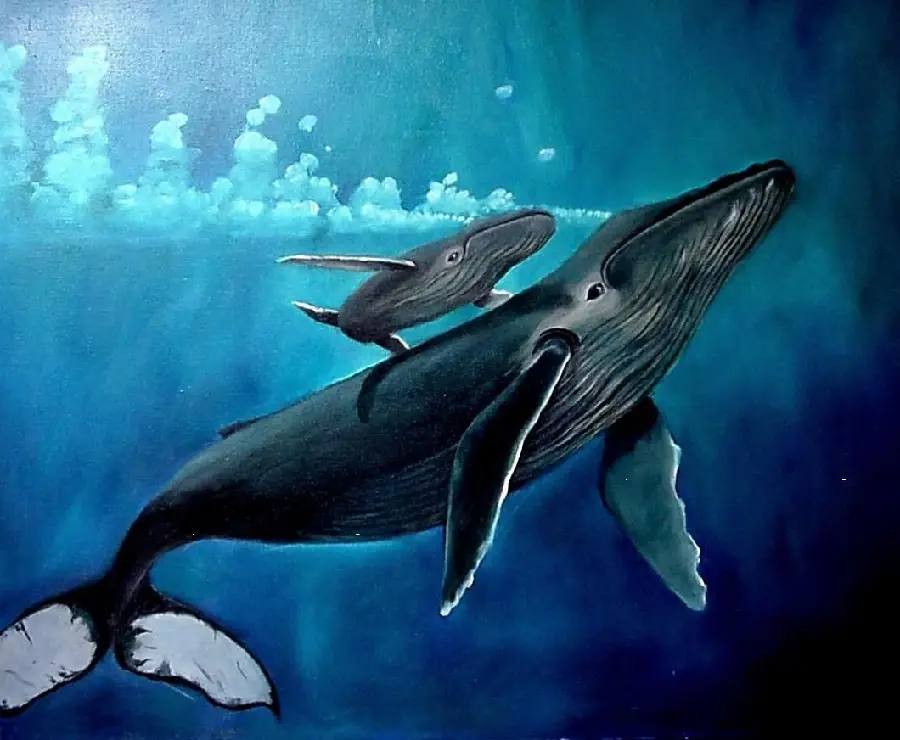 Attractive background of two whales painted with very good quality 