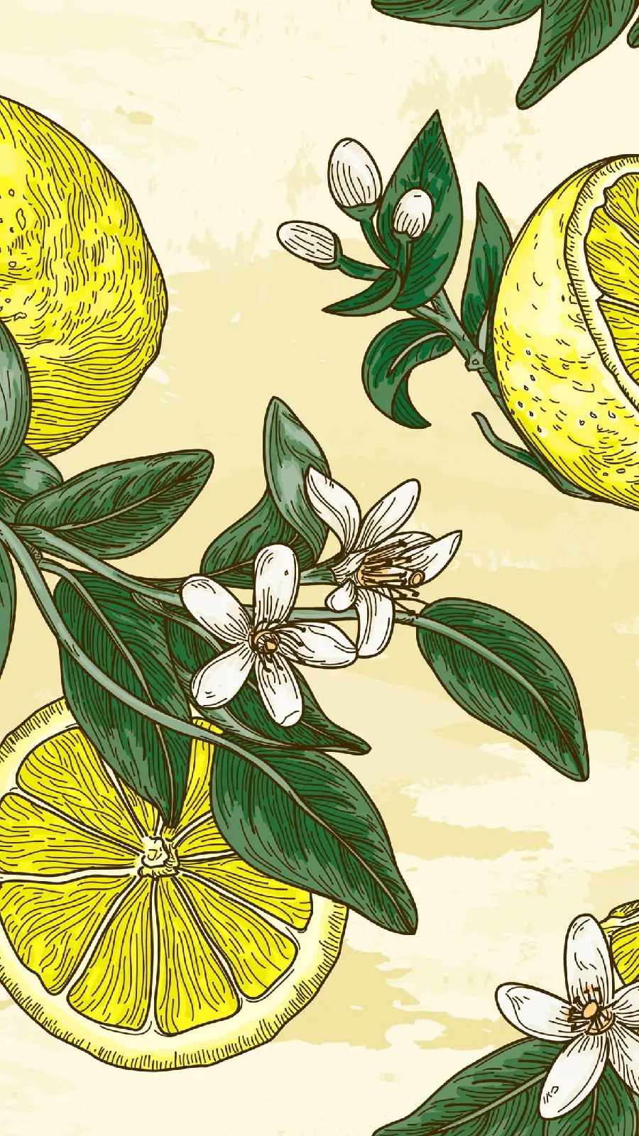 A beautiful picture of a stunning painting of lemon and white blossoms