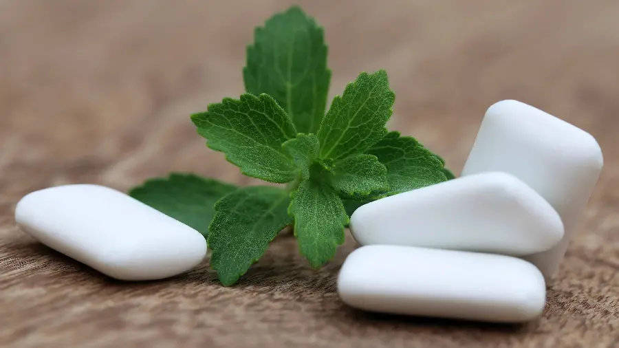 Download promotional photo of chewing gum with mint petals, mint gum logo