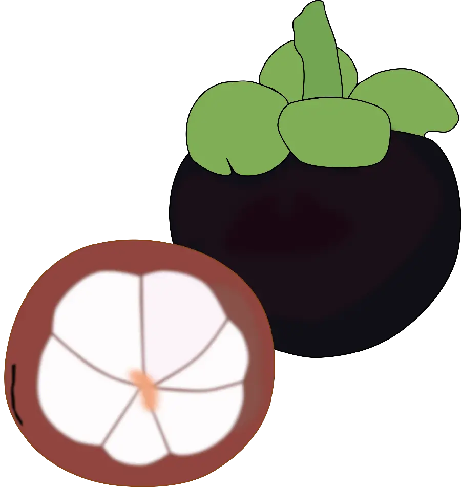 Simple targil fruit drawing idea for children with three colors 