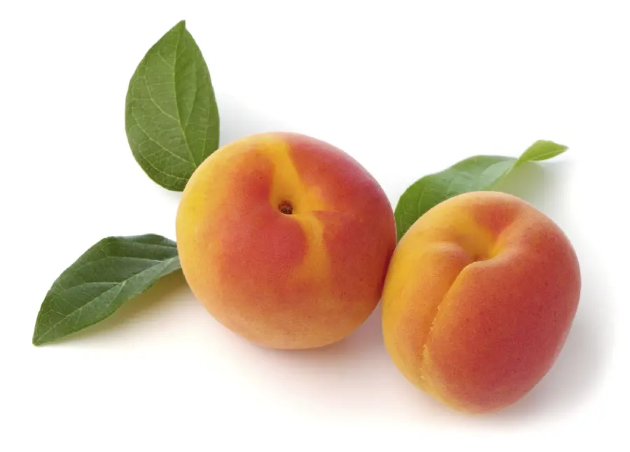 Download an attractive background And a view of two high-quality apricots 