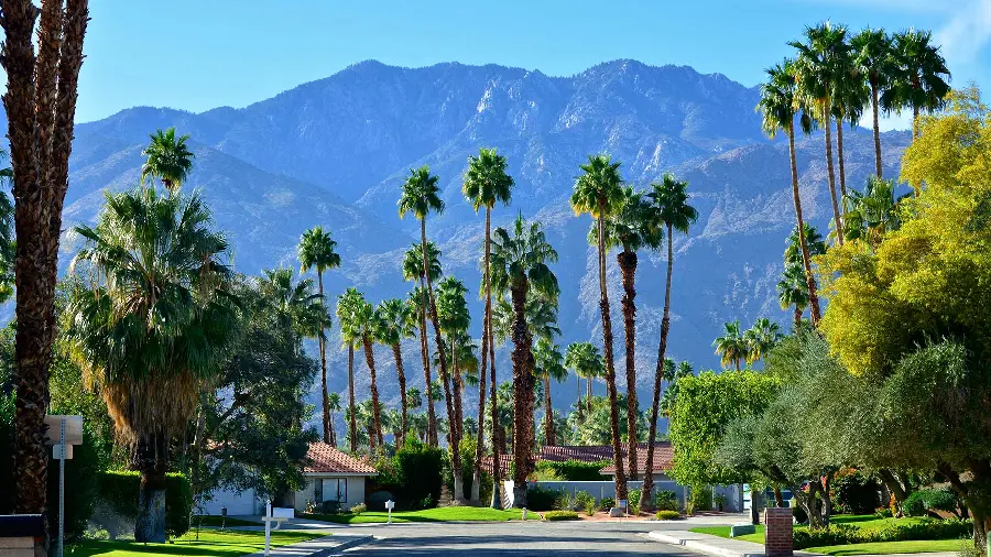 Luxury image of tall palm trees in an eye-catching residential area 