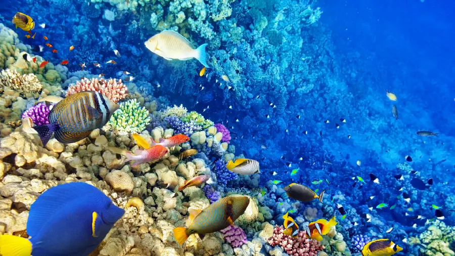 Unique and spectacular photo of water with beautiful rocks 