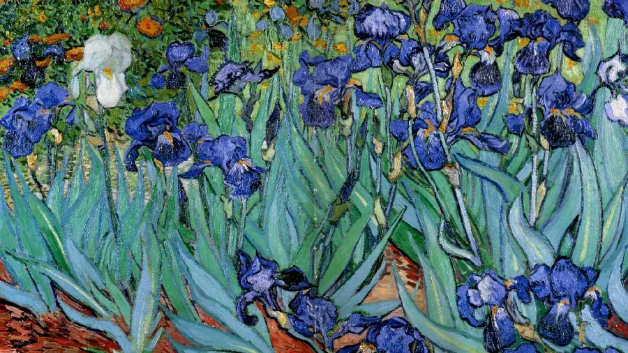 Free and high-quality download of the painting by Vincent Van Gogh called the lilies